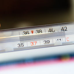 Image by Matteo Fusco